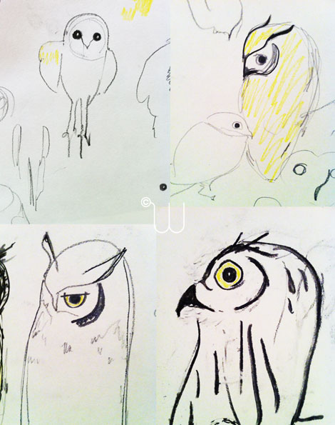 Woody Owl Drawings